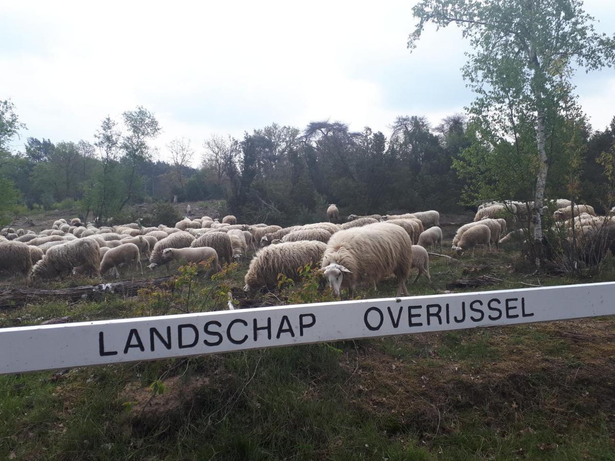 De Hammerhoeve Bed & Breakfast Dalfsen