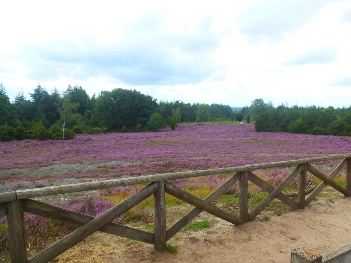 Bed & Breakfast De Hammerhoeve *