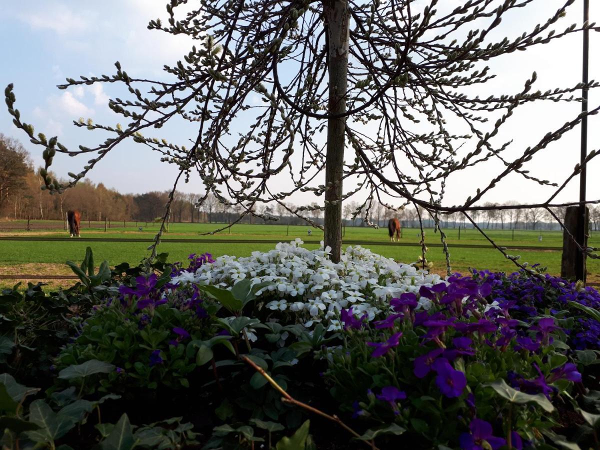 Bed & Breakfast De Hammerhoeve *